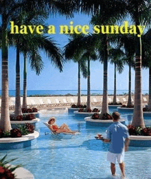 a man is carrying a tray of drinks to a woman in a swimming pool surrounded by palm trees .