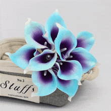 a blue and purple flower is in a stuffs containing box