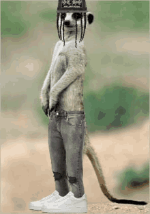 a meerkat wearing a hat and jeans is standing in the desert