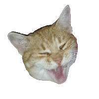 a cat with its mouth open and its eyes closed