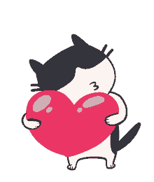 a black and white cat is holding a red heart with the number 3 on its face