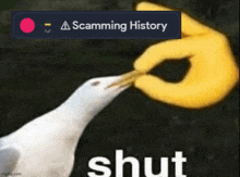 a seagull is being fed by a yellow hand with a sign above it that says ' scamming history '