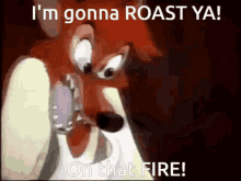 a cartoon fox is saying i 'm gonna roast ya on that fire .