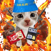 a cat wearing a blue ikea hat and a kitkat bar