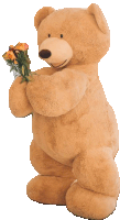 a teddy bear is holding a bouquet of flowers in its hands