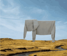 an elephant shaped sweater hangs on a clothes line