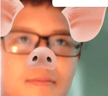 a man wearing glasses and a pig nose filter