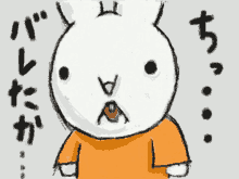 a cartoon drawing of a rabbit with chinese writing behind it