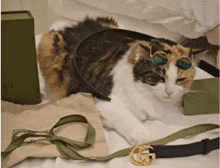 a cat wearing sunglasses is laying on a bed