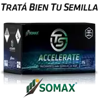 a box of accelerate from somax is shown