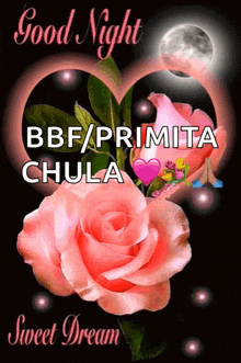 a picture of a pink rose with the words good night chula sweet dream on it