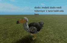 a computer generated image of a dodo with a caption that says dodo