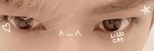 a close up of a person 's eyes with the word lino cat written on it