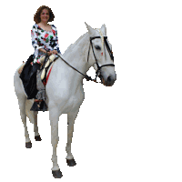 a woman is riding a white horse with a shadow of a person behind her