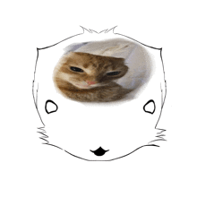 a drawing of a cat 's face with circles around it