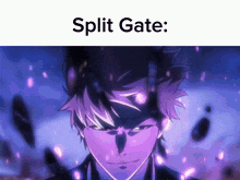 a picture of a man with purple hair and the words split gate below him