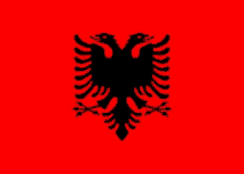 the flag of albania has a black eagle with two heads on a red background