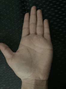 a close up of a person 's hand with the fingers visible