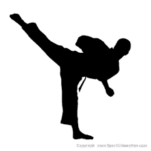 a silhouette of a person doing karate with the website www.sportsilhouettes.com