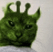 a close up of a green cat wearing a crown on its head .