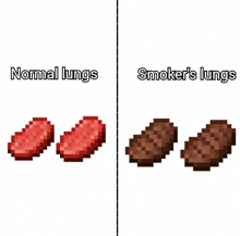 a comparison of normal lungs and smoker 's lungs