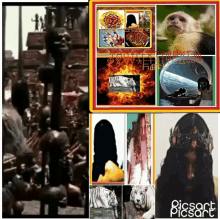 a collage of images includes a monkey a tiger a woman and a statue