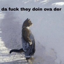 a cat in overalls is walking in the snow with the words da fuck they doin ova der below it