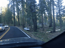 a white car is sitting on the side of the road in the woods