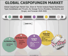 a chart showing the global caspofungin market size