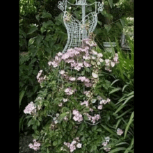 a mannequin with pink flowers growing out of it .