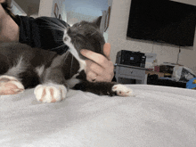 a black and white cat is being held by a man