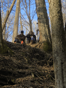 a man and a woman sitting on a hill in the woods