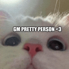 a close up of a cat 's face with gm pretty person < 3 written on it