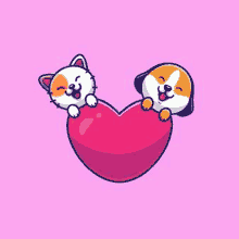 a cat and a dog sitting on top of a heart .