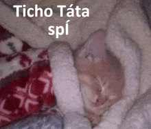 a cat wrapped in a blanket with the words " icho tata spi " written above it