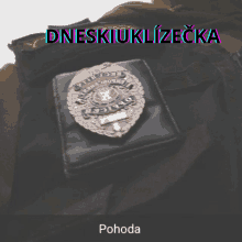 a picture of a police badge with the words dneskiuklizecka