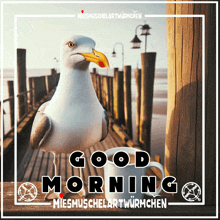 a picture of a seagull on a dock with the words good morning on the bottom