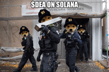 a group of police officers wearing dea hats carry a brick