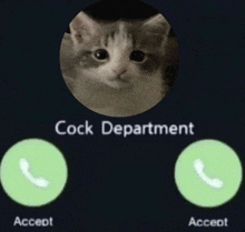 a picture of a cat on a phone with the words cock department above it