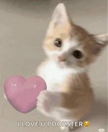 a kitten holding a pink heart with the words i love u pookster below it