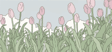 a drawing of a field of pink tulips with a bunny in the grass