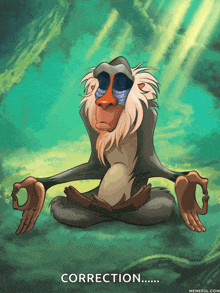 a monkey sitting in a lotus position with the word correction written below it