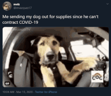 a picture of a dog driving a car with the caption " me sending my dog out for supplies since he can