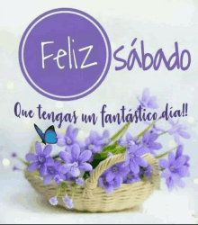 a basket of purple flowers with a butterfly and the words feliz sabado