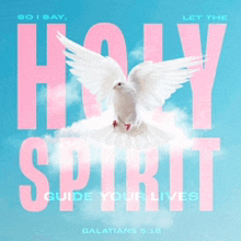 a white dove is flying in the sky with the words holy spirit above it