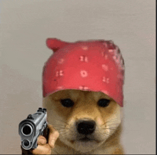 a dog wearing a bandana is pointing a gun at the camera .