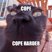 a black cat with the words cope cope harder written on it