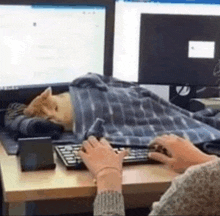 a cat is sleeping on a desk next to a person typing on a computer keyboard .