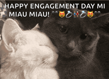 a picture of two cats with the words happy engagement day mi miau miau written above them