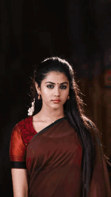 a woman with a red dot on her forehead wearing a brown saree